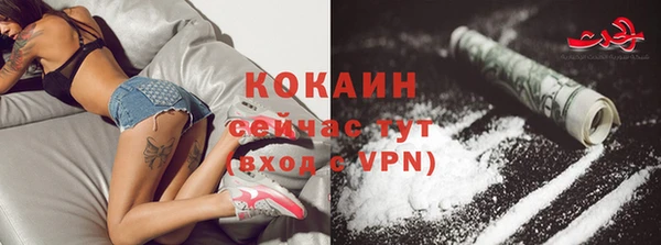 спайс Богородицк