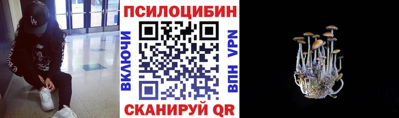 Псилоцибиновые грибы Magic Shrooms  Йошкар-Ола 